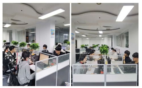 成都市成華區第七次全國人口普查咨詢熱線正式開通，為您提供便捷信息咨詢服務